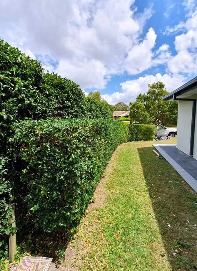 Top-rated outdoor landscaping in San Francisco, CA - Richmond Lawn Care