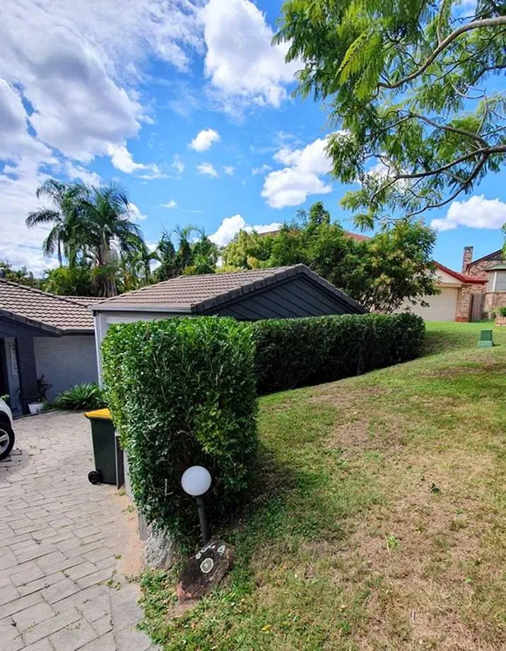 Top-rated yard cleanup service in San Francisco, CA by Richmond Lawn Care