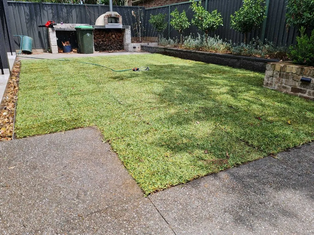 Local residential landscaping in San Francisco, CA - Richmond Lawn Care