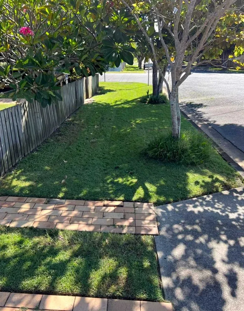 Affordable yard maintenance for year-round maintenance in San Francisco, CA by Richmond Lawn Care