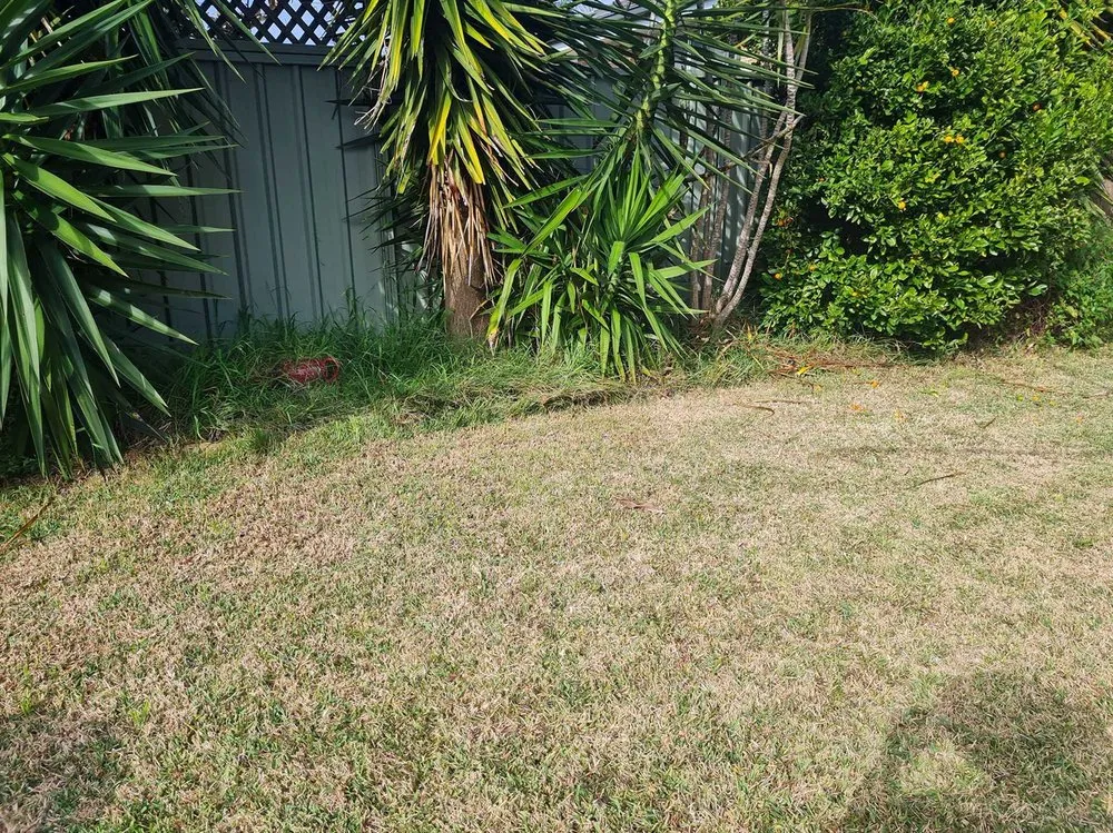 Professional landscape installation experts serving San Francisco, CA - Richmond Lawn Care