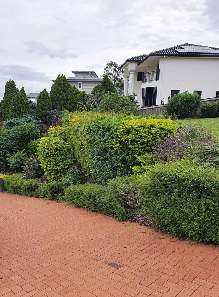 Top-rated outdoor landscaping experts serving San Francisco, CA - Richmond Lawn Care