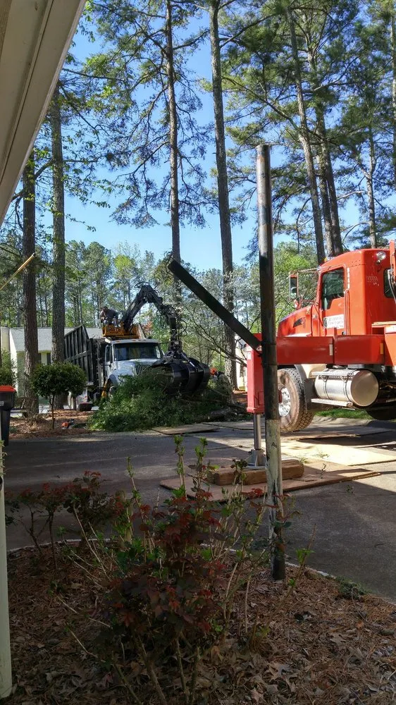 Local landscaping services for year-round maintenance in Marietta, GA by Richmond Tree Experts