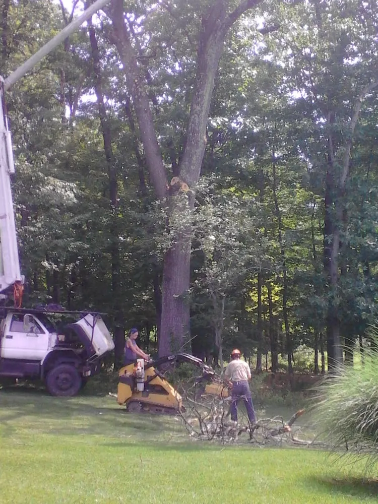 Top-rated lawn mowing service for outdoor upgrades across Hampton, NJ - Rich's A-1 Tree Service