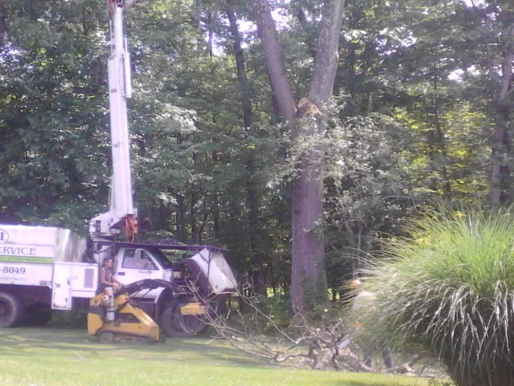 Affordable lawn mowing service for year-round maintenance in Hampton, NJ by Rich's A-1 Tree Service