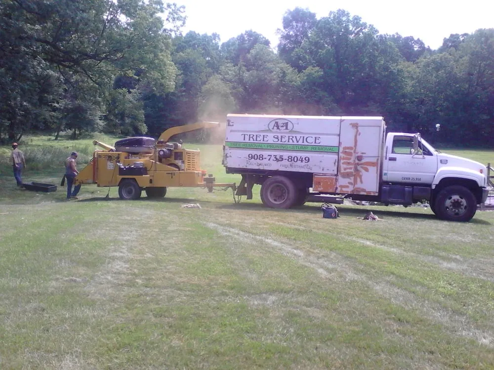 Custom yard cleanup service in Hampton, NJ - Rich's A-1 Tree Service