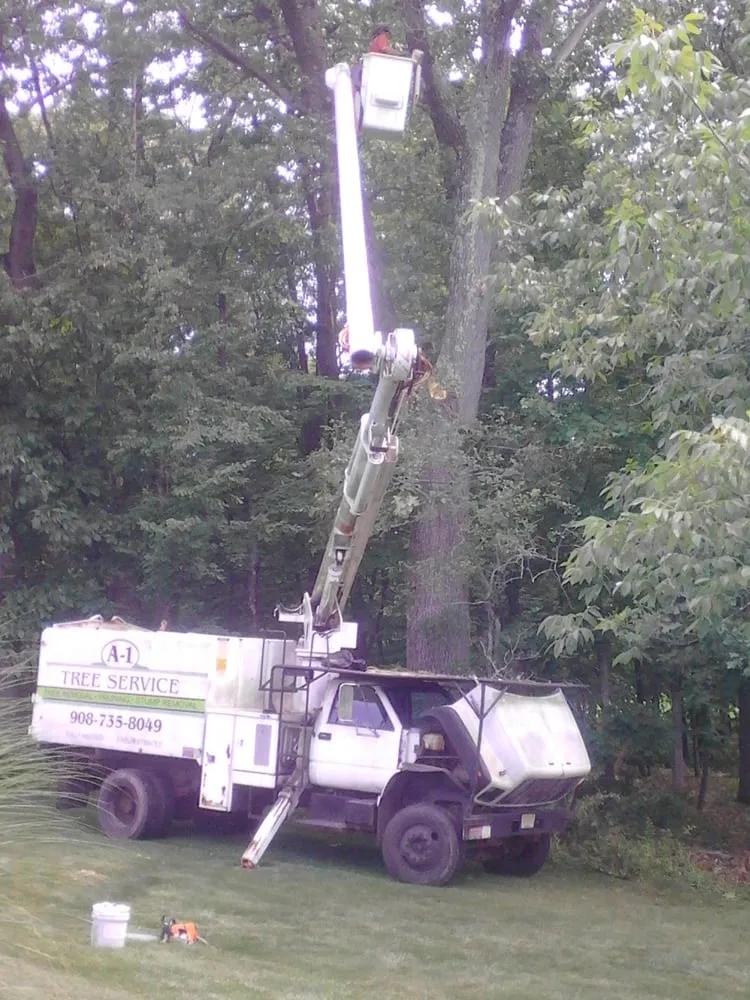 Local residential landscaping for outdoor upgrades in Hampton, NJ by Rich's A-1 Tree Service