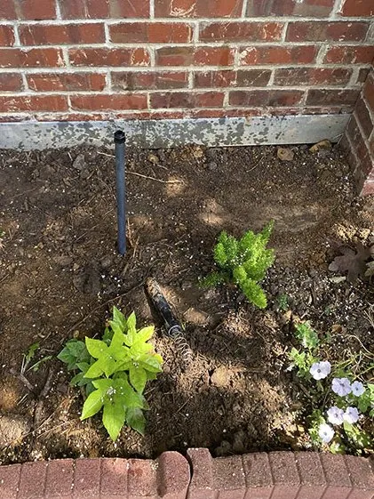 Trusted landscape design in Denton, TX by Rich's Irrigation Solutions