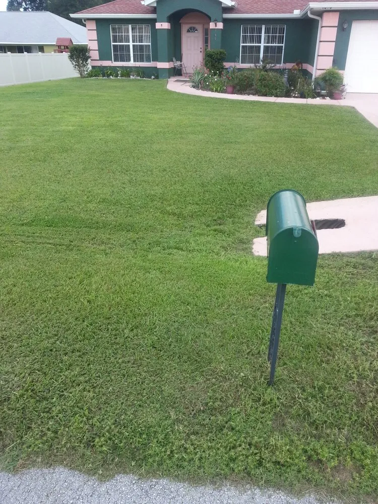 Expert lawn care service for beautiful yards across Ocala, FL - Rich's Lawn & Pressure Washing Service
