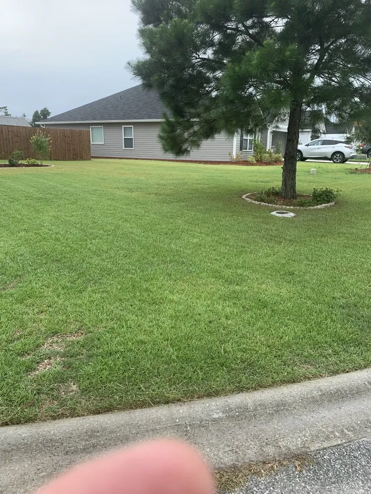 Professional lawn care service experts serving Brunswick, GA - Rich’s Lawn Service