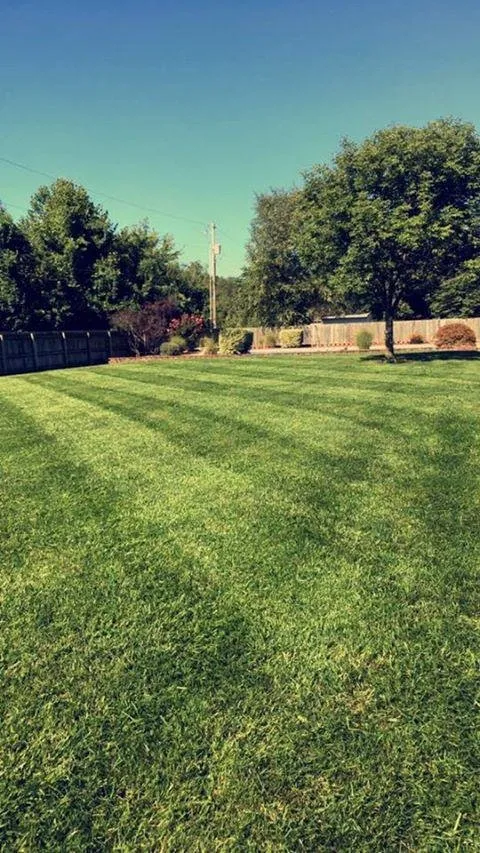 Trusted landscape design experts serving Newburgh, IN - Rich's Lawnscape