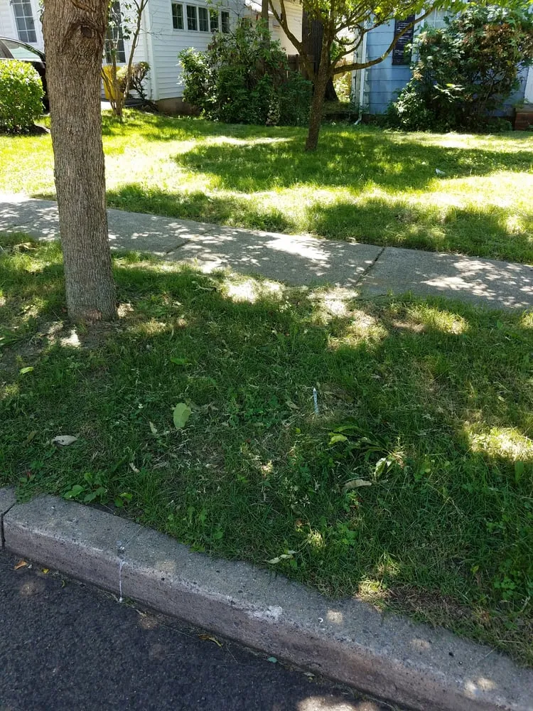 Professional outdoor landscaping for homes across Hillsdale, NJ - Rich's Services