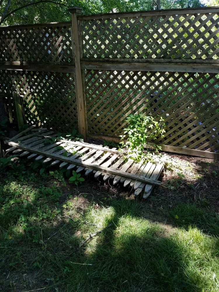 Expert yard cleanup service for beautiful yards in Hillsdale, NJ by Rich's Services