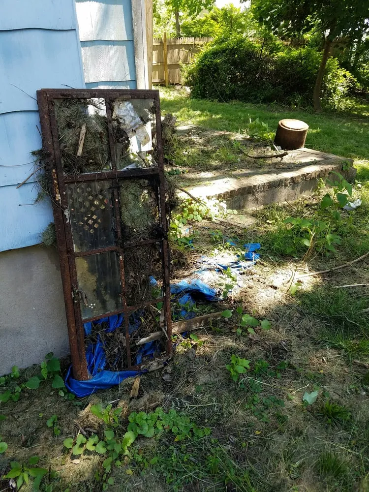 Trusted residential landscaping experts serving Hillsdale, NJ - Rich's Services