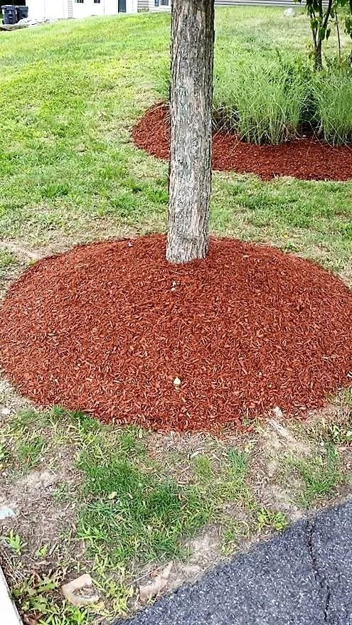 Local lawn care service for beautiful yards across Walden, NY - Rich's Superior Landscaping