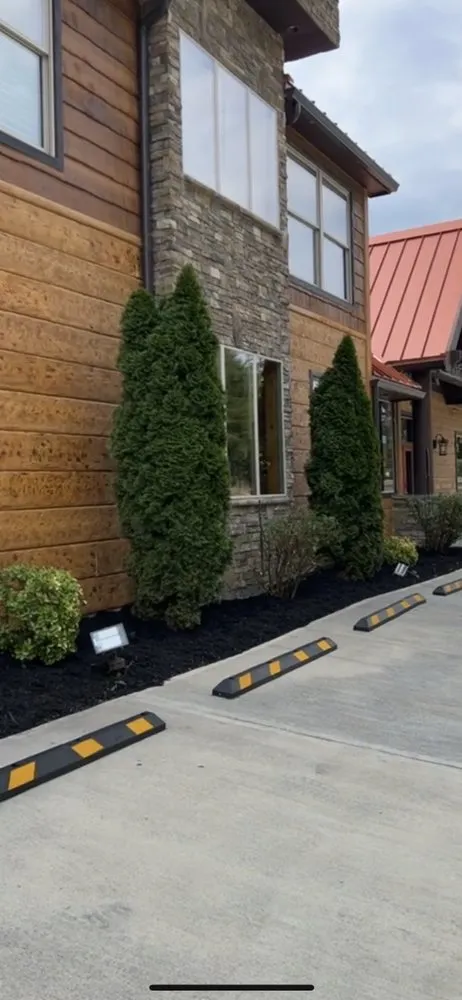 Expert lawn care service in Pigeon Forge, TN by RichScape Lawn&Gardening