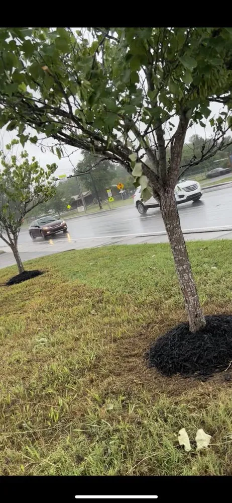 Trusted residential landscaping experts serving Pigeon Forge, TN - RichScape Lawn&Gardening