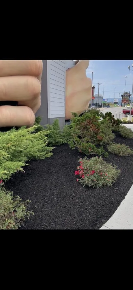 Top-rated landscaping services for residential properties in Pigeon Forge, TN by RichScape Lawn&Gardening