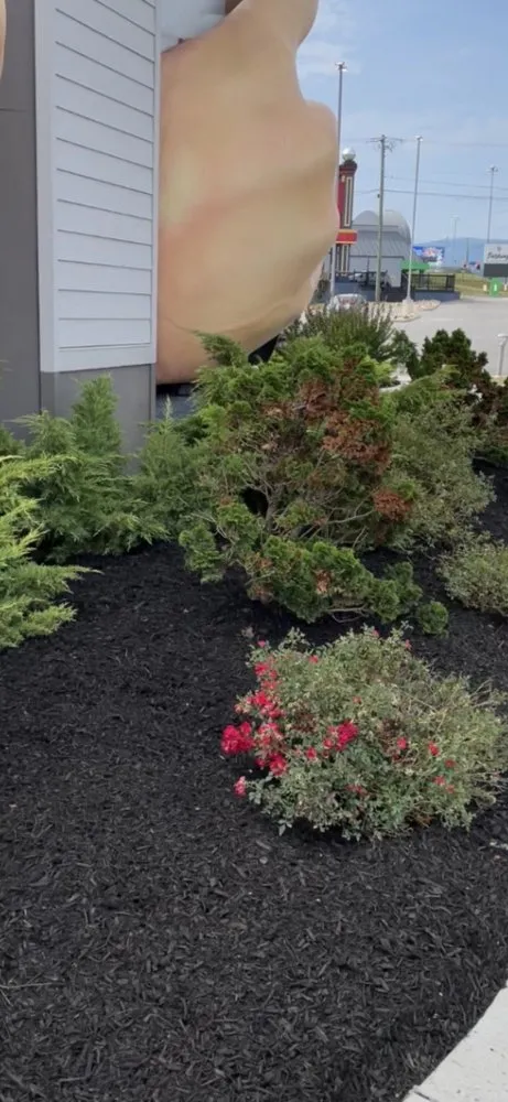 Reliable yard maintenance experts serving Pigeon Forge, TN - RichScape Lawn&Gardening