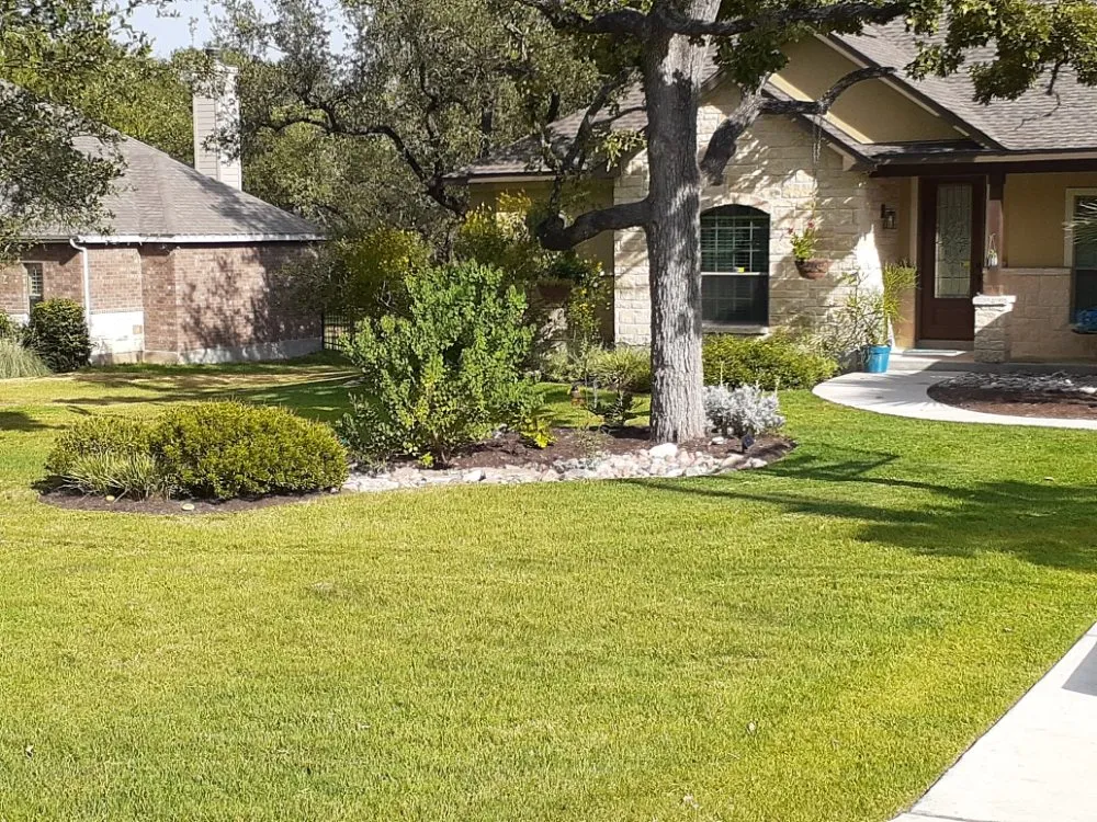 Affordable yard maintenance in San Antonio, TX by Richter Tree and Lawn
