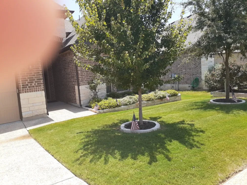 Reliable landscape design in San Antonio, TX - Richter Tree and Lawn