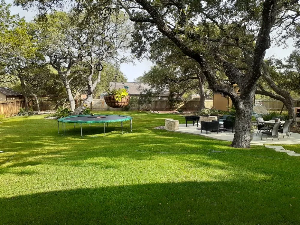 Affordable landscaping services in San Antonio, TX - Richter Tree and Lawn