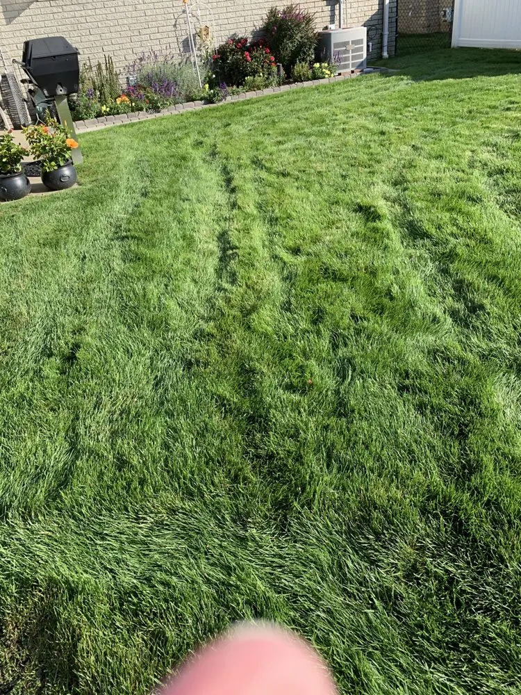 Custom landscaping services in Utica, MI by Richter's Beautification