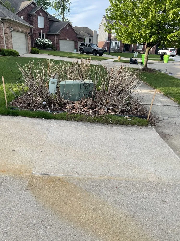 Local lawn care service experts serving Utica, MI - Richter's Beautification