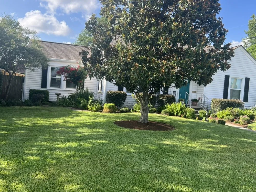 Custom lawn care service for year-round maintenance across Houston, TX - Richter's Services