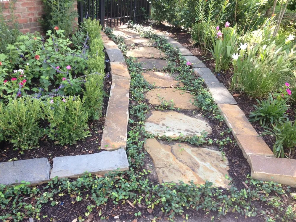 Expert yard cleanup service in Houston, TX - Richter's Services