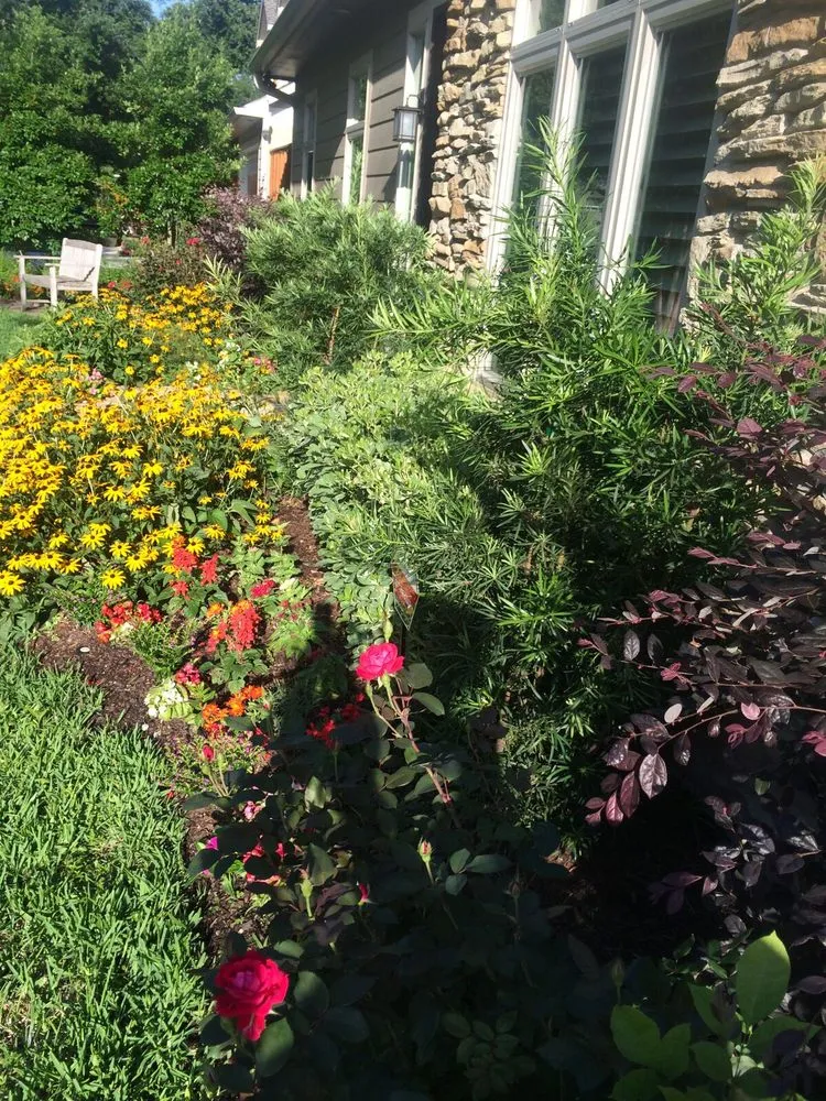 Expert outdoor landscaping for residential properties across Houston, TX - Richter's Services