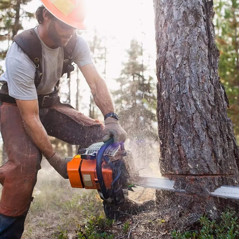 Custom landscaping services experts serving Preston Hollow, NY - Richters Tree Service