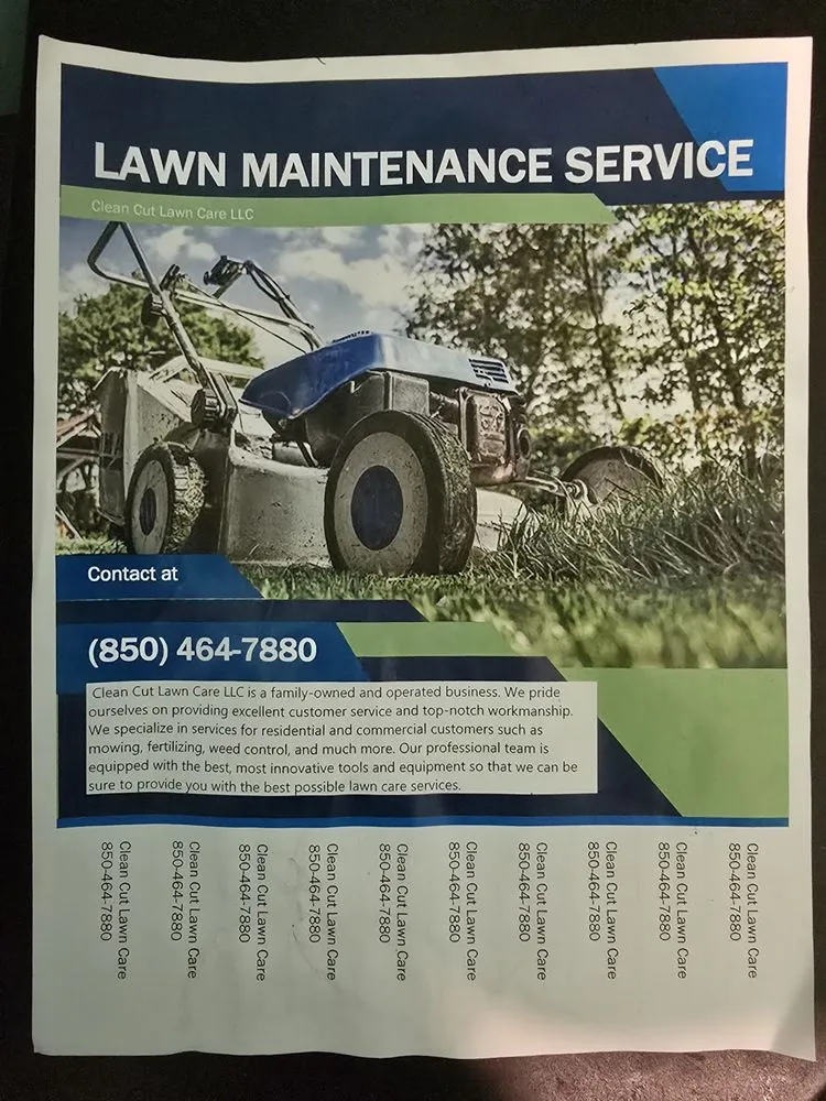 Custom yard cleanup service in Preston Hollow, NY by Richters Tree Service