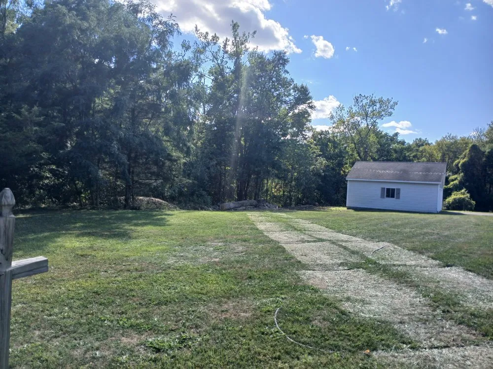 Top-rated outdoor landscaping for homes in Preston Hollow, NY by Richters Tree Service