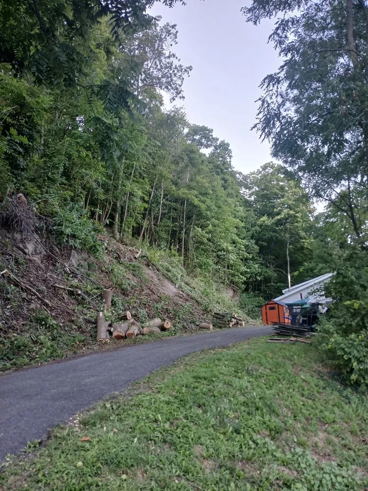 Trusted landscaping services for residential properties in Preston Hollow, NY by Richters Tree Service