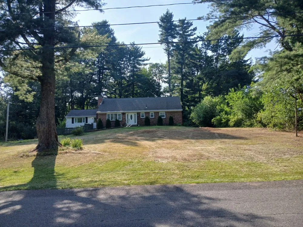 Trusted outdoor landscaping experts serving Preston Hollow, NY - Richters Tree Service