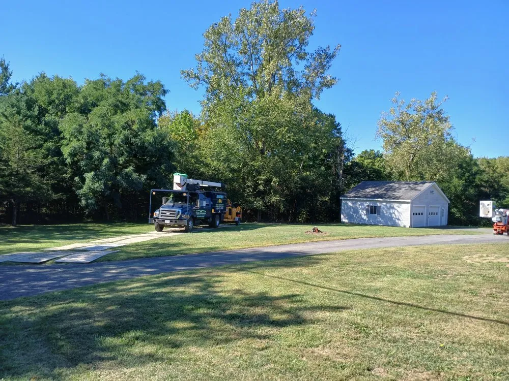 Affordable landscape installation for year-round maintenance in Preston Hollow, NY by Richters Tree Service