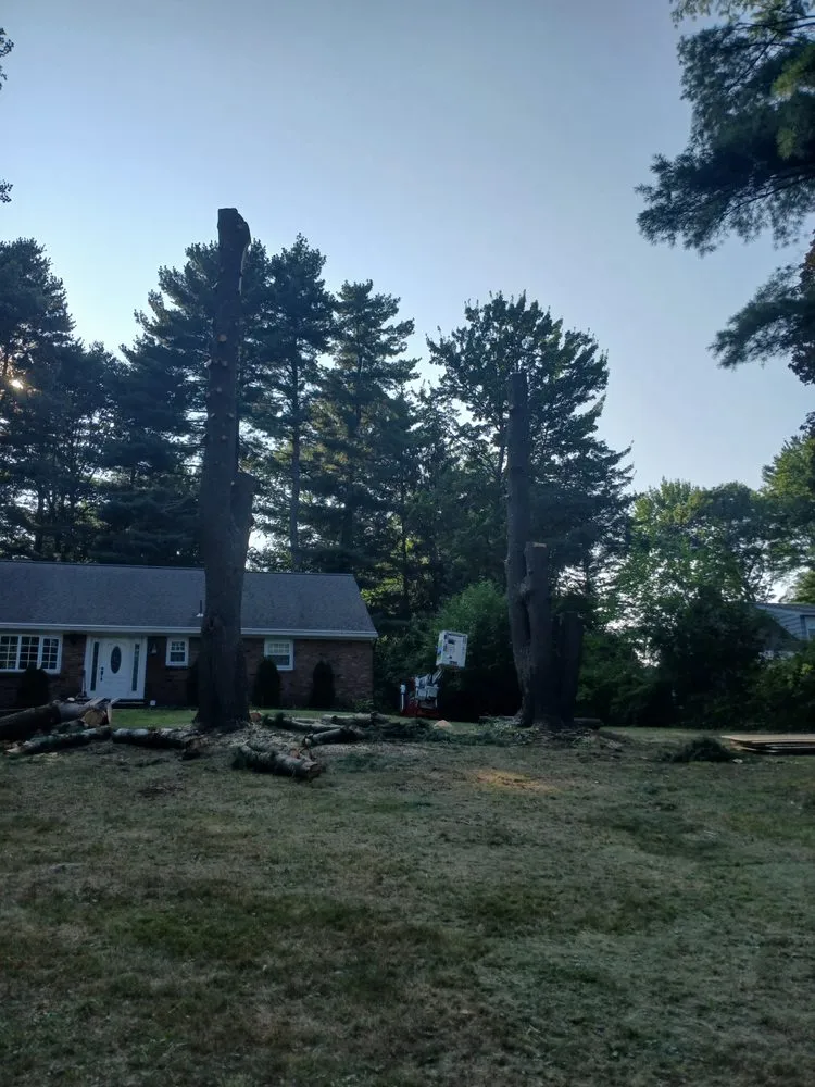 Trusted lawn mowing service experts serving Preston Hollow, NY - Richters Tree Service
