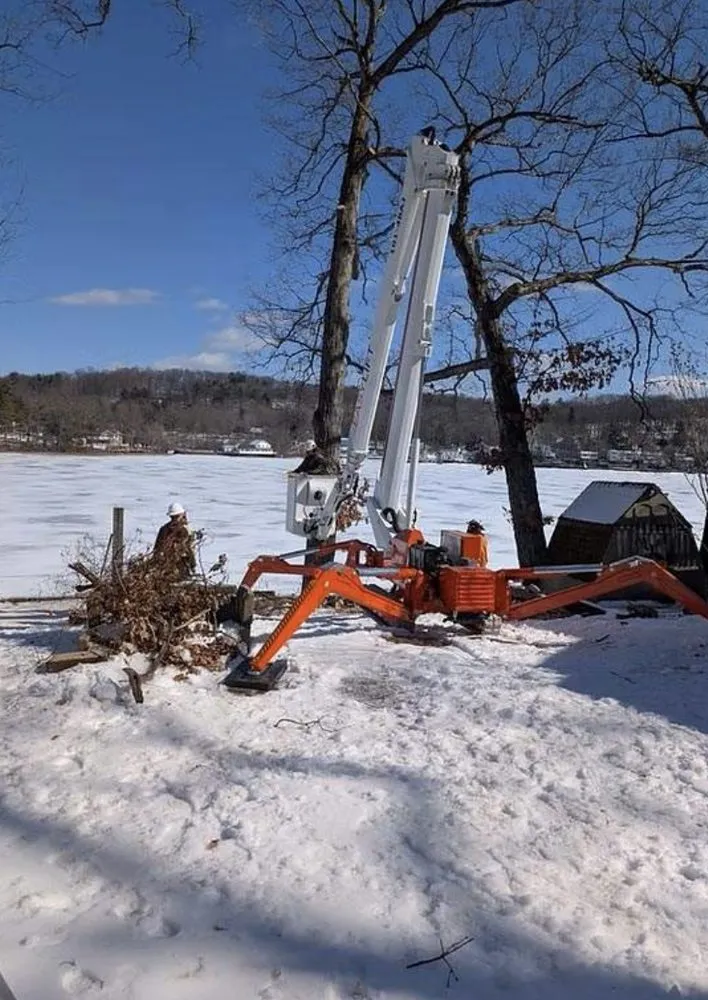 Expert lawn care service for homes across Preston Hollow, NY - Richters Tree Service