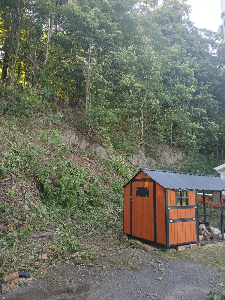 Professional yard cleanup service for homes in Preston Hollow, NY by Richters Tree Service