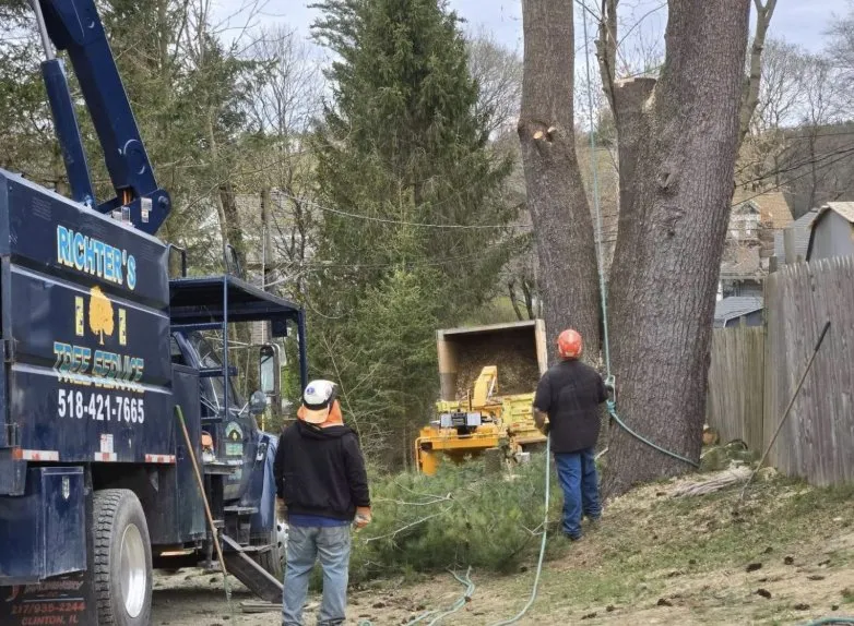 Expert yard cleanup service for residential properties across Preston Hollow, NY - Richters Tree Service