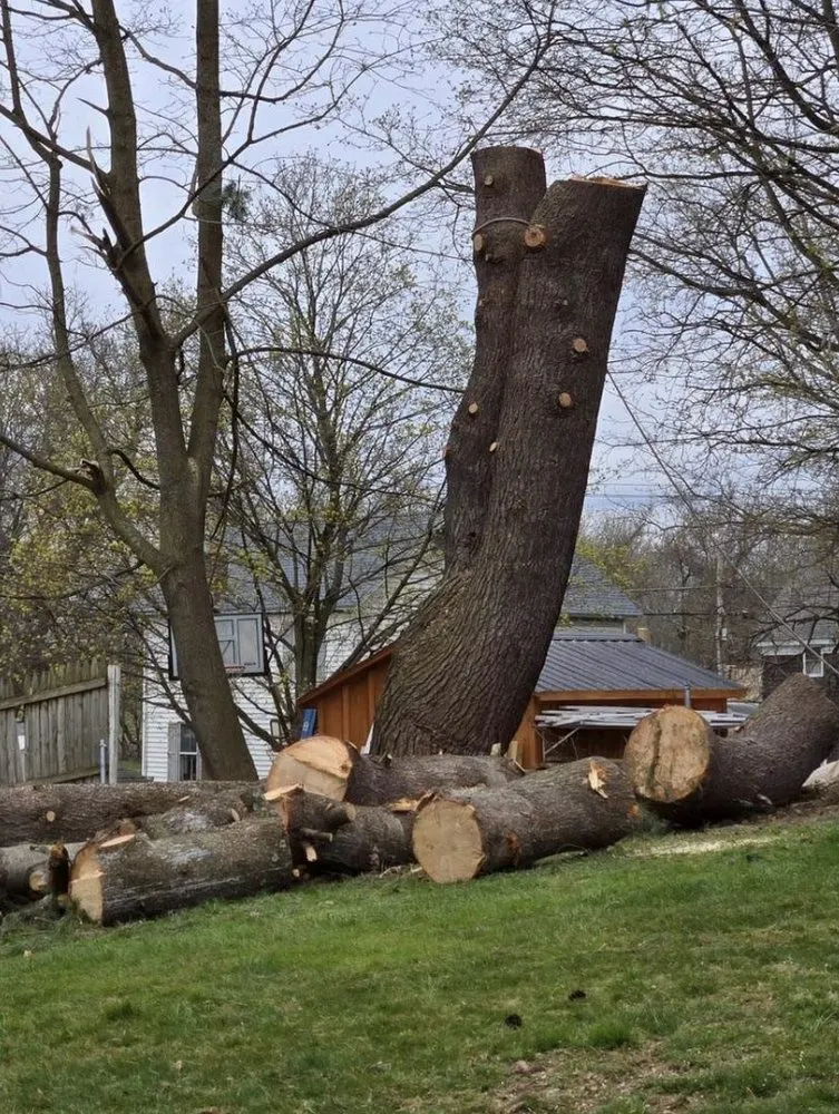 Trusted outdoor landscaping experts serving Preston Hollow, NY - Richters Tree Service