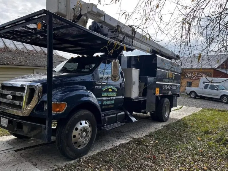 Trusted lawn mowing service in Preston Hollow, NY by Richters Tree Service