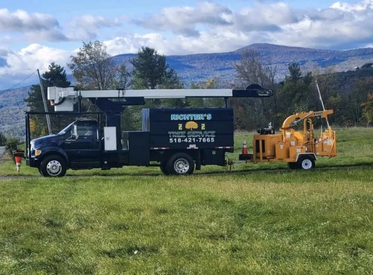 Affordable yard maintenance in Preston Hollow, NY by Richters Tree Service