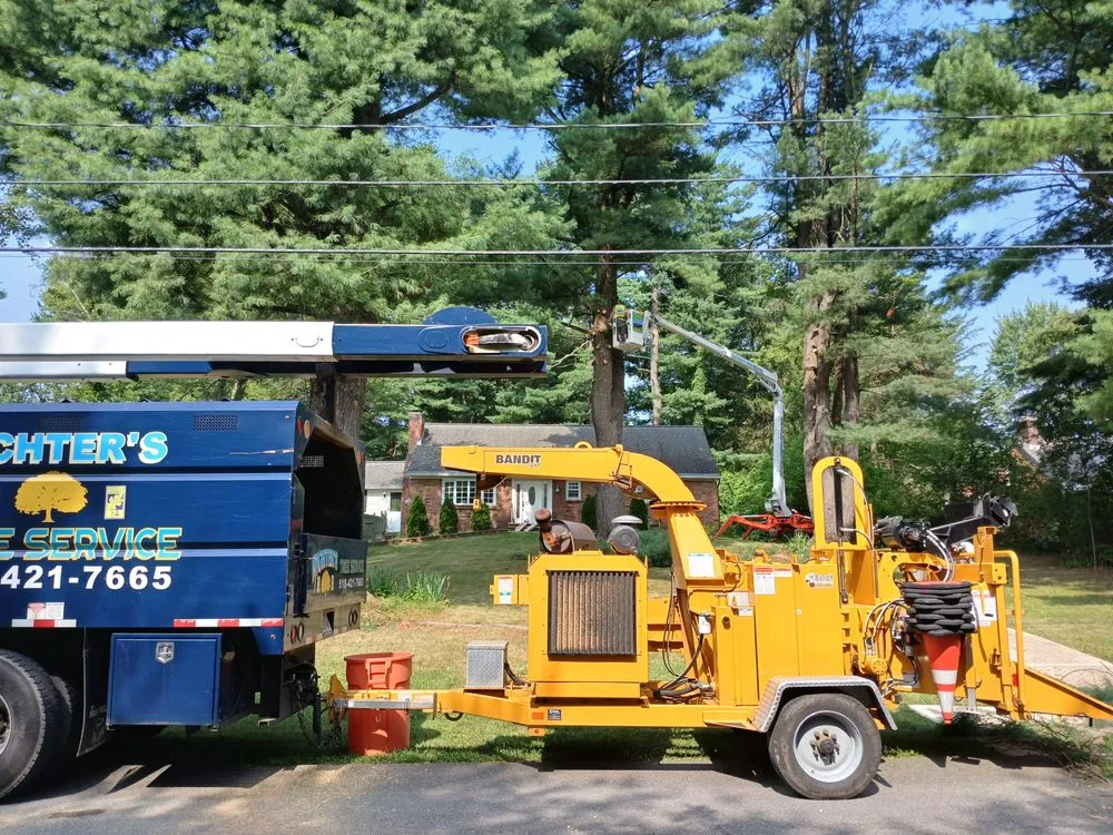 Professional landscape installation in Preston Hollow, NY - Richters Tree Service