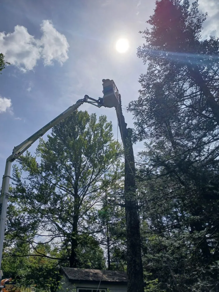 Custom landscape design in Preston Hollow, NY - Richters Tree Service