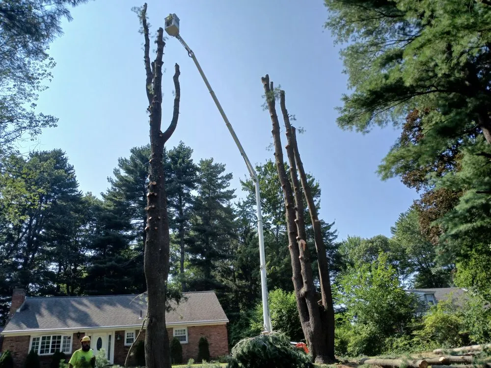 Professional garden landscaping for year-round maintenance in Preston Hollow, NY by Richters Tree Service