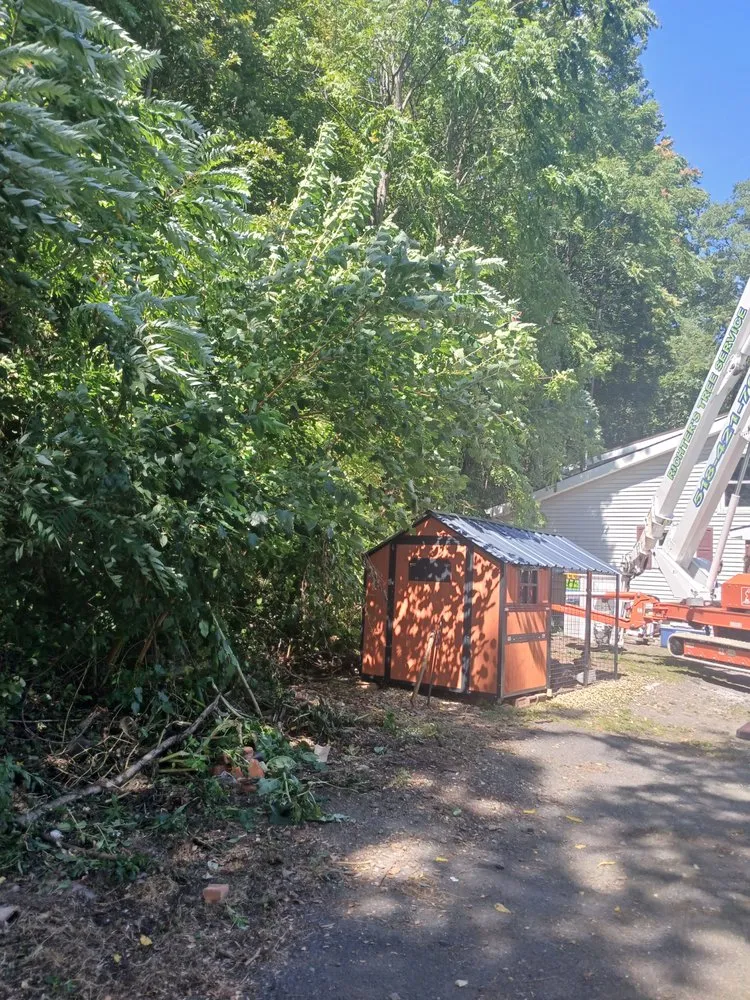Affordable landscape installation for homes across Preston Hollow, NY - Richters Tree Service