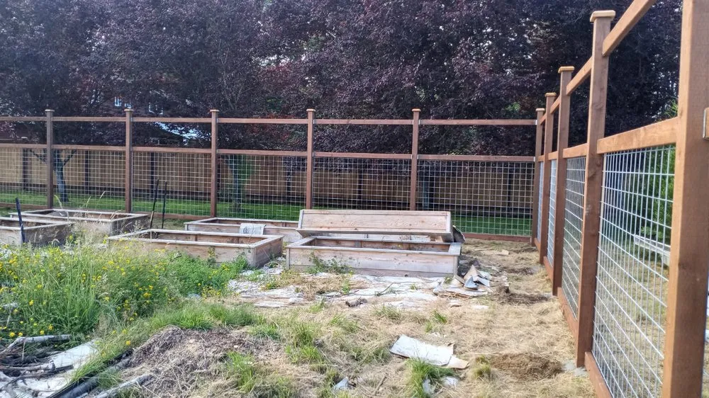 Trusted landscape installation for year-round maintenance in Shelton, WA by Richy Mendoza Landscaping & Fence
