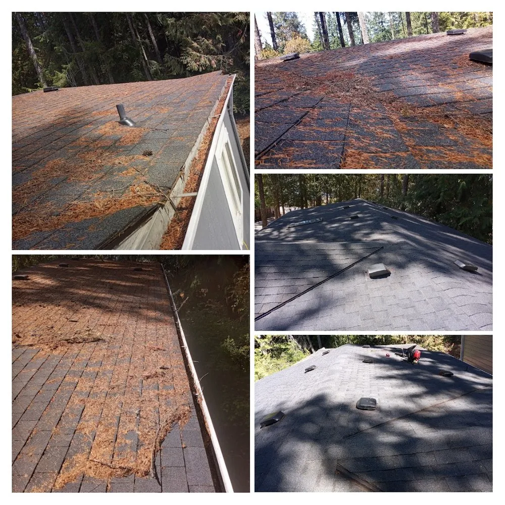 Top-rated lawn mowing service in Shelton, WA by Richy Mendoza Landscaping & Fence